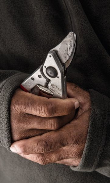 Садовий секатор FELCO 12 (Felco12) 148156-21 фото