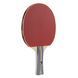 Набір для настільного тенісу Joola Team School 4 Bats 8 Balls (54825) 930798 фото 4