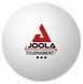 М'ячі для настільного тенісу Joola Tournament 40+ 12 шт (44322) 930812 фото 1