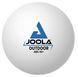 М'ячі для настільного тенісу Joola Outdoor ball 6 шт (42181) 930962 фото 1