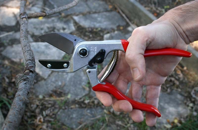 Садовий секатор з ковадлом FELCO 31 (Felco31) 148130-21 фото